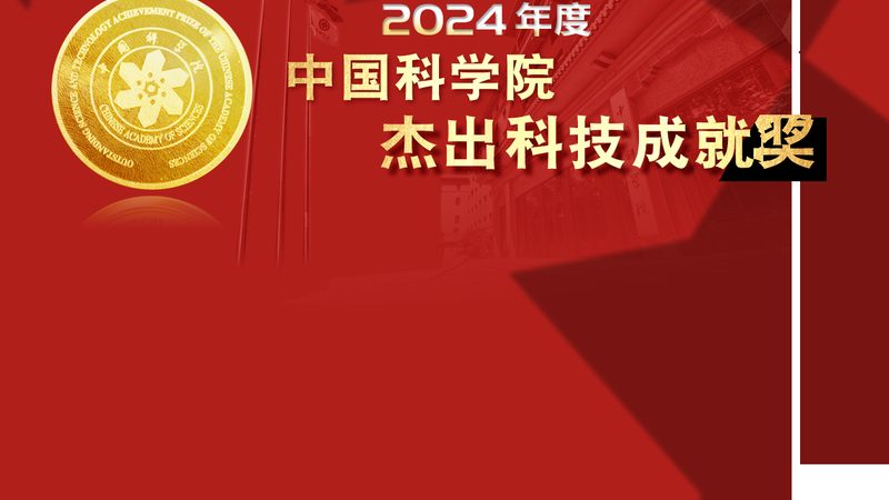 信息化建设项目管理流程书：构建高效IT项目的关键步骤